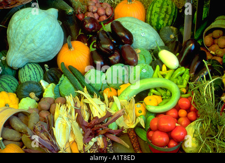 State Fair Ernte Gemüse Display Anordnung. St Paul Minnesota MN USA Stockfoto