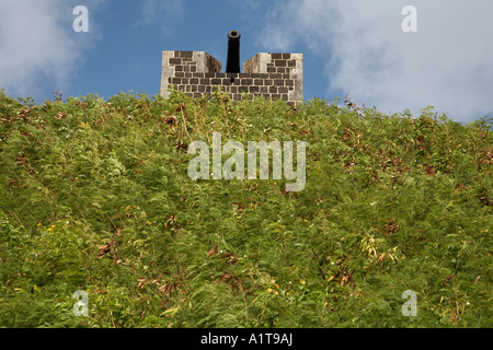 einzelne Kanone auf der Oberseite der Zitadelle Fort George St Kitts Karibik Antillen Stockfoto