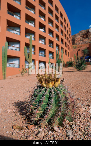Westin Regina Cabo San Lucas Baja California Mexiko Stockfoto