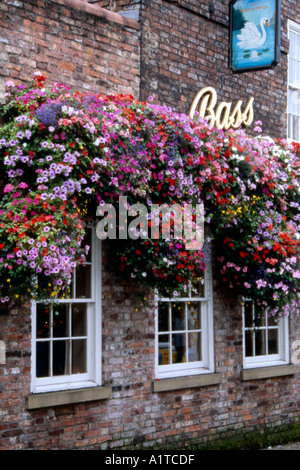 Blumenpracht auf ein Gebäude in York pub Stockfoto