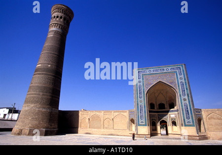 Kalon Moschee und Minarett Buchara Usbekistan Stockfoto