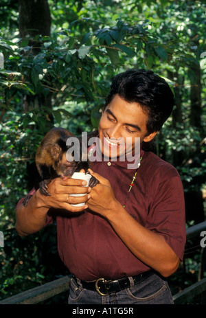 1 einem brasilianischen Mann mit Kapuziner Affen Trinkwasser aus Schale entlang Ariau Fluss im Amazonas Regenwald im Amazonas, Brasilien, Südamerika Stockfoto