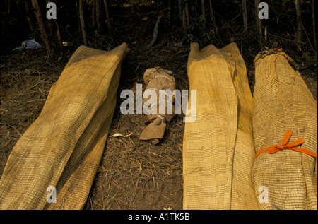 GOMA ZAIRE KÖRPER DER TOTEN EINGEWICKELT IN RUSH MATS KIBUMBA REFUGEE CAMP JULI 1994 Stockfoto