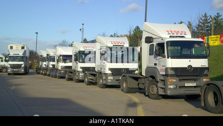 Reihe von neuen Tesco-LKW-Fahrerhäuser Stockfoto