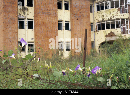 RÜCKKEHR NACH RUANDA BLÜHT MÄRZ 1995 WILD WACHSENDEN IN DER GARTEN EIN GEBÄUDE BESCHÄDIGT DURCH GRANATFEUER BOMBEN IN KIGALI Stockfoto