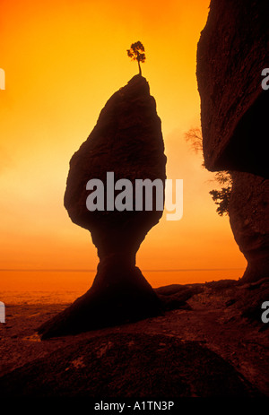 Shepody Bay Beach, Bay Of Fundy, Baie de Fundy, Hopewell Cape, Provinz New Brunswick, Kanada, Nordamerika Stockfoto