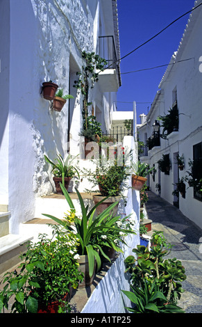 Schönheit der traditionellen architektonischen Details und Blumenschmuck im Dorf Frigiliana in der Nähe von Nerja Andalucia Stockfoto