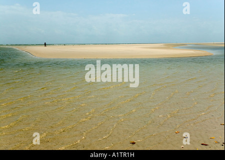 Eine Sandbank und Strand an der Mündung des Amazonas Araruna Marajó Insel Para Brasilien Stockfoto