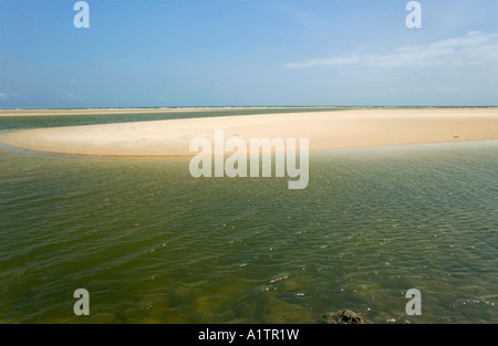 Eine Sandbank und Strand an der Mündung des Amazonas Araruna Marajó Insel Para Brasilien Stockfoto