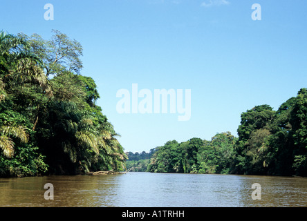 Jungle River Szene in Tortuguero in Costa Rica Stockfoto