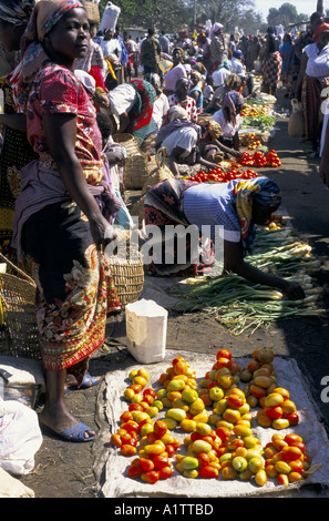 MOSAMBIK 1995 MARKT MAPUTO. Reihe von Frauen, Verkauf von Gemüse Stockfoto