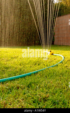 Oszillierende lawn Sprinkler im Hinterhof Stockfoto