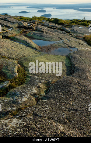 Felsformationen auf Cadillac Mountain mit Stachelschwein Inseln in Ferne an der Acadia Nationalpark Maine USA Stockfoto