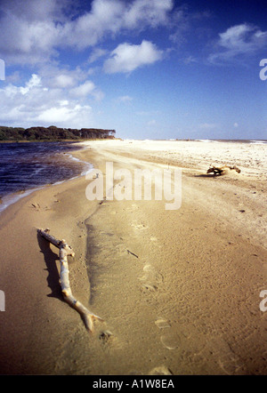 Benacre Strand in der Nähe von Southwold an der Küste von Suffolk Stockfoto