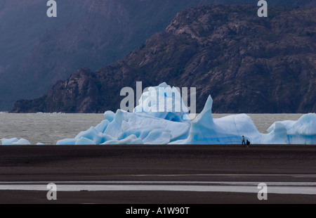 Eisberge gekalbt vom Grey-Gletscher die See grau zu schweben und werden gestrandet, Nationalpark Torres del Paine, Chile Stockfoto