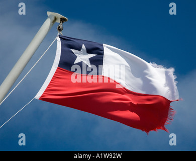 Chilenische Flagge Stockfoto