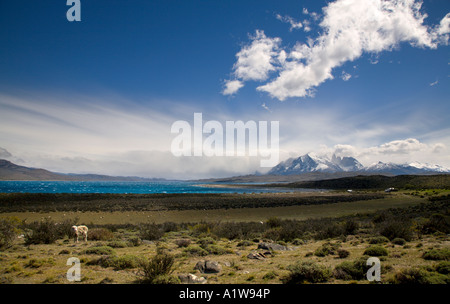 Paine-Massivs & See Sarmiento, Torres del Paine Nationalpark, Patagonien, Chile Stockfoto