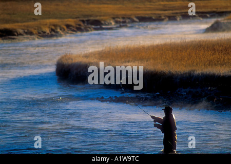 Fliegenfischen in der Madison River, Yellowstone Nationalpark, WY Stockfoto