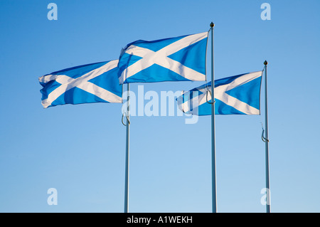 Scottish Saltyre, Schottland/England grenzt an die A1. Stockfoto