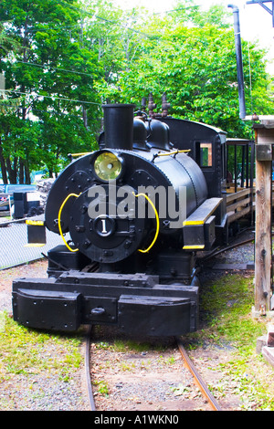 Ein Dampf Lokie, eine kleine Lokomotive Henry Clay, die auf eine Schmalspurbahn läuft. Stockfoto