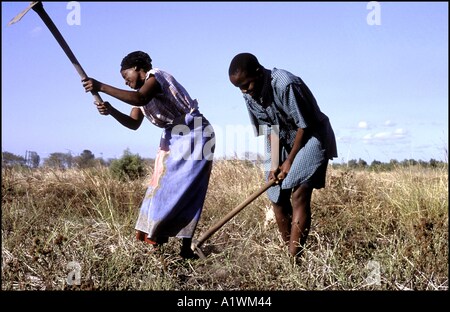 Positive lebt Mozambique.HIV positive Mutter arbeitet mit ihrem Sohn auf dem Land. Stockfoto
