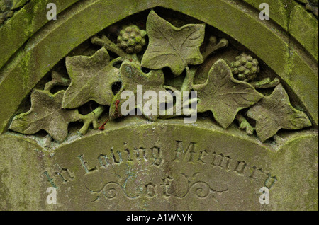 In stillem Gedenken Stockfoto