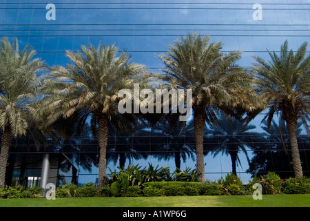 Palmen und Glas-Dubai Stockfoto