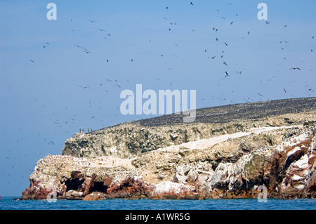 Eine Landschaftsansicht der Tierwelt auf den Ballestas-Inseln in die nationale Reserve von Paracas, Peru. Stockfoto