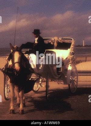 Pferd und Wagen in der Hochzeit Zeremonie Cape May Stockfoto