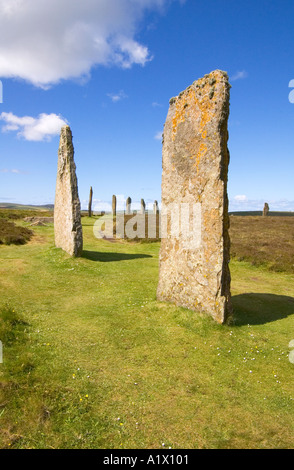 dh RING OF BRODGAR ORKNEY neolithischen stehenden Steinen Kreis Website Stockfoto