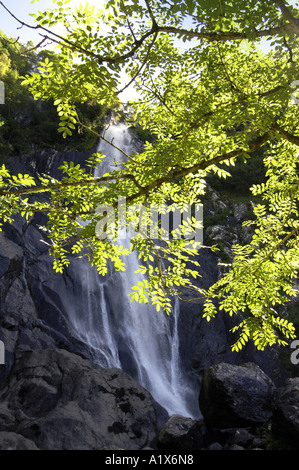 Aber Falls, Abergwyngregn, Nordwales Stockfoto