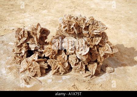 Souvenirs-Stall mit Wüste Rosen auf Wüste Sahara in Tunesien Stockfoto