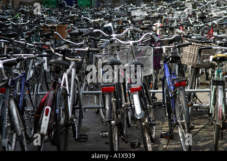 Fahrräder parken außerhalb Copenhagen-Bahnhof Stockfoto