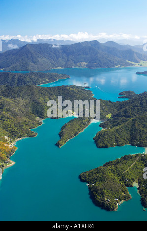 Wasserfall Bay L Mistletoe Bay R und Kenepuru Sound Top Marlborough Sounds Südinsel Neuseeland-Antenne Stockfoto