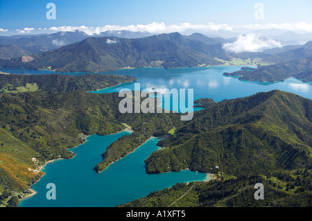 Wasserfall Bay L Mistletoe Bay R und Kenepuru Sound Top Marlborough Sounds Südinsel Neuseeland-Antenne Stockfoto