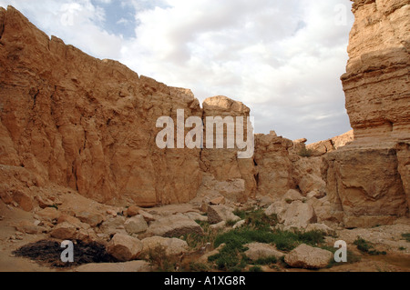 Felsen in Tamerza Oase, Tunesien Stockfoto