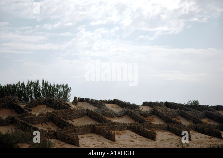 Erosion Schutzzäune auf Dünen, Wüste Sahara in Tunesien Stockfoto