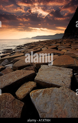 Die spektakulären Kalkstein-Felsen Kimmeridge Bucht bilden ein riesiges Puzzle erstreckt sich entlang der Küste, Dorset, England Stockfoto