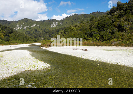 Fox River in der Nähe von Paparoa Nationalpark Westküste Südinsel Neuseeland Stockfoto