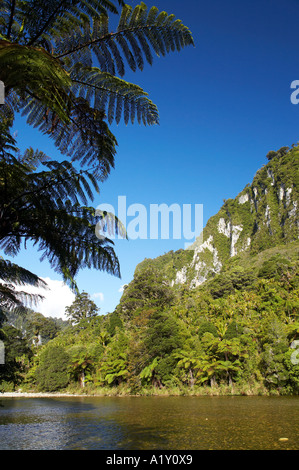 Pororari River Paparoa Nationalpark Westküste Südinsel Neuseeland Stockfoto