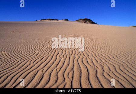 Sanddünen, Canoa Quebrada Strand, Ceara, Nordost-Brasilien Stockfoto