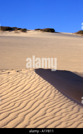 Sanddünen, Canoa Quebrada Strand, Ceara, Nordost-Brasilien Stockfoto