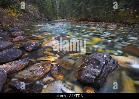 Flache Rocky River in der Nähe von Johnston Canyon im Banff Nationalpark, Kanadische Rockies Stockfoto