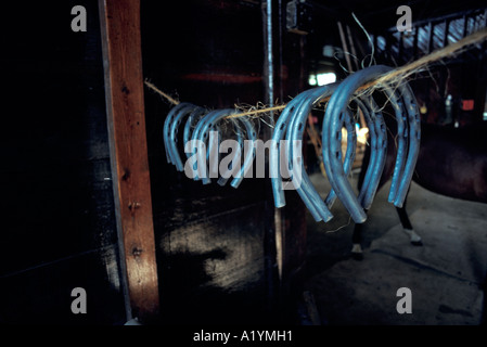 Metall-Eisen-Pferd Schuhe Race Racer Vollblut Hufschmied Schmied Ausrüstung beschlagen Stockfoto