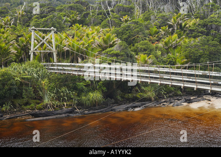 Brücke über den Kohaihai River Heaphy Track in der Nähe von Karamea Kahurangi Nationalpark Westküste Südinsel Neuseeland Stockfoto