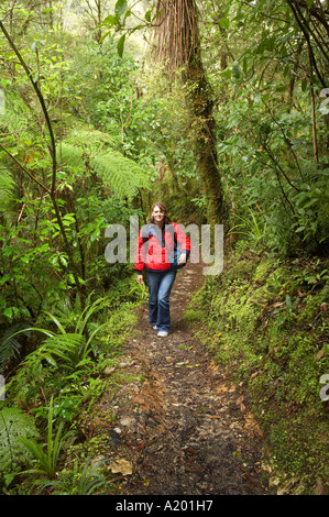 Verfolgen Sie bis Oparara Arch Oparara Becken in der Nähe von Karamea Kahurangi Nationalpark Westküste Südinsel Neuseeland Stockfoto