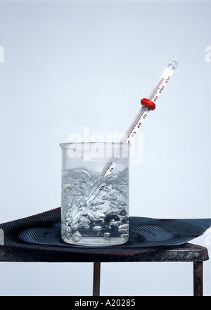 Laborbecher aus Glas auf einem Bunsenstativ mit Thermometer, das bei einem Siedepunkt von 100 °C starke Wasserblasen zeigt. Isoliert gegen weiß. Stockfoto