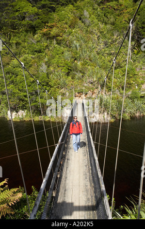 Brücke über den Kohaihai River Heaphy Track in der Nähe von Karamea Kahurangi Nationalpark Westküste Südinsel Neuseeland Stockfoto