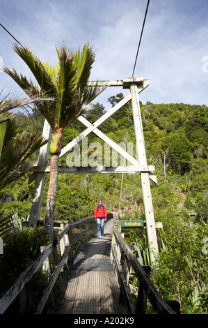 Brücke über den Kohaihai River Heaphy Track in der Nähe von Karamea Kahurangi Nationalpark Westküste Südinsel Neuseeland Stockfoto