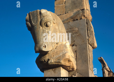 Statue von einem Stierkopf; Persepolis; in der islamischen Republik Iran. Persepolis wurde als UNESCO-Weltkulturerbe eingeschrieben. Stockfoto